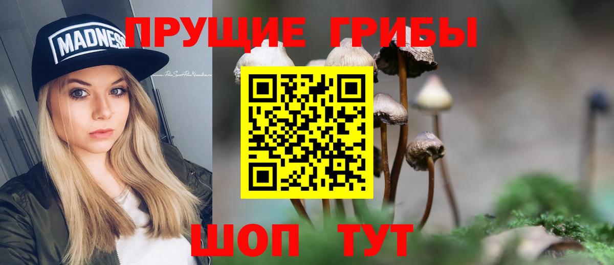 Галлюциногенные грибы мицелий  Вход с VPN  Новодвинск  Галлюциногенные грибы Psilocybine cubensis 
